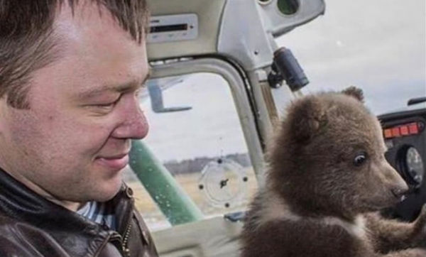 俄罗斯机场闯进一只走散的小棕熊，机长善心收养，熊：我能养自己